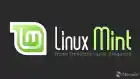 Linux Mint 20.2 Beta Testing Plans and Upcoming Release Details