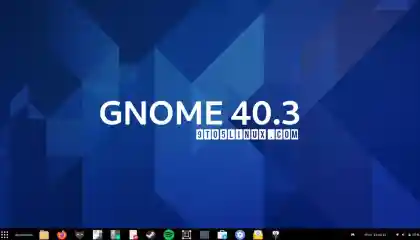 Gnome403 Esm H240