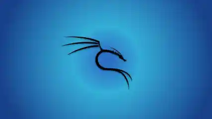 Kali Linux Header Esm H240