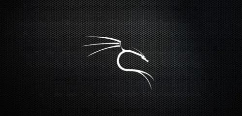 Kali Linux Honeycomb Esm H240