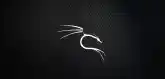 Kali Linux Honeycomb Esm H79