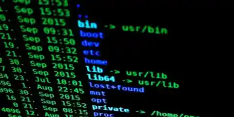 Linux Terminal Esm H240