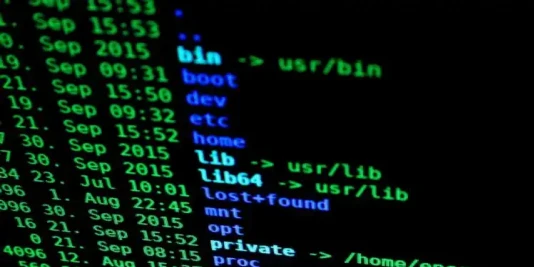 Linux Terminal Esm H267