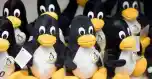 Linux Penguin Plush Toys Getty Esm H79