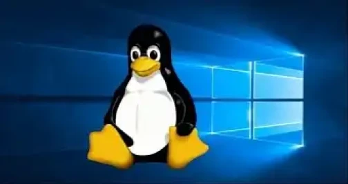 Microsoft Says Important Windows 10 Fix For Linux Users Is Coming Esm H267