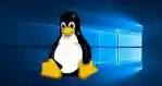 Microsoft Says Important Windows 10 Fix For Linux Users Is Coming Esm H79