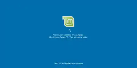 Mint Windows Update Screen Esm H240