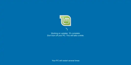 Mint Windows Update Screen Esm H267