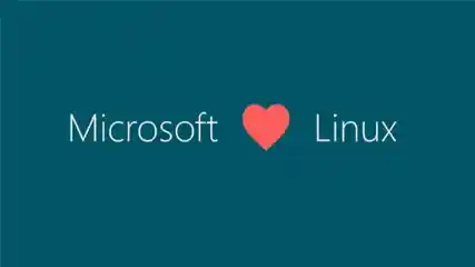 Ms Heart Linux 770px Esm H240