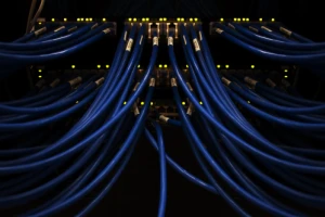 Blue Wires Esm W400