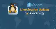 Fedora Large Esm H100
