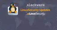 Slackware Large Esm H100