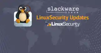 Slackware Large Esm H170