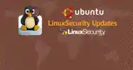 Ubuntu Large Esm H100