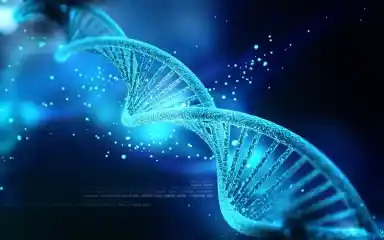 Dna Biotech Esm H240