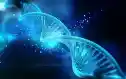 Dna Biotech Esm H79