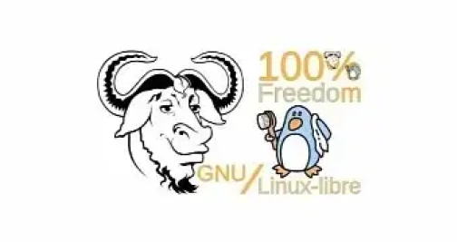 Gnu Linux Libre 5 4 Kernel Released For Those Seeking 100 Freedom For Their Pcs Esm H267