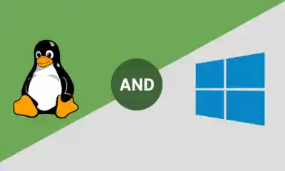 Linux And Windows Esm W400