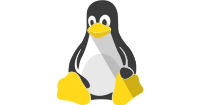 Linux Esm W400