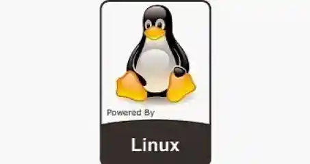 Linux Kernel 5 3 Reached End Of Life Users Urged To Move To Linux Kernel 5 4 Esm H240