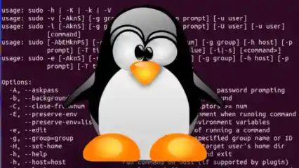 Linux Sudo Bug 696x392 Esm H240