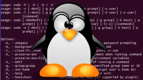 Linux Sudo Bug 696x392 Esm H267