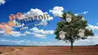 Mekle Cryptocurrency Tree Amazon Aws Patent Filing Success Blockchain Proof Of Work 796x448 Esm H79