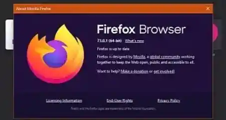 Mozilla Firefox 73 0 1 Released With Critical Linux Fixes Esm H240