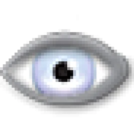 Privacy Icon Esm H267
