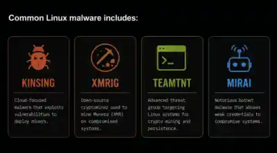 Common Linux Malware Common Linux Malware 600x331 Esm W400