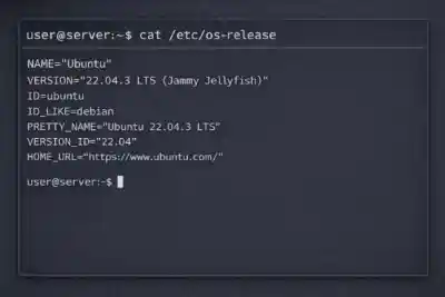 Etc Os Release Output Example 700x467 Esm W400