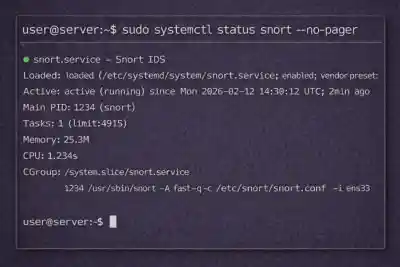 Systemctl Status Snort  700x467 Esm W400