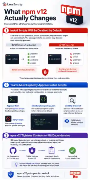 What Npm V12 Chagnes Infographic What Npm V12 Chagnes Infographic 300x600 Esm W300