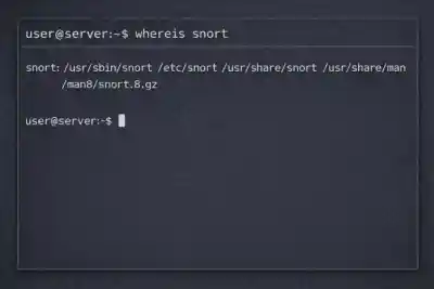 Whereis Snort Output Example  700x467 Esm W400