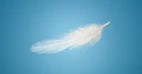Shutterstock 146416733 Esm H240