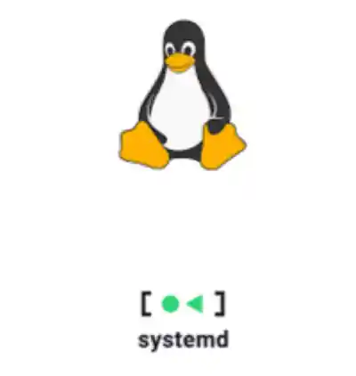Systemd Penguin Final Esm W400