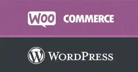 Wordpress Woocommerce Plugin Security Esm H240