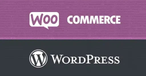Wordpress Woocommerce Plugin Security Esm H267