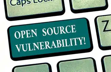 Xl 2020 Open Source Vulnerability 1 Esm H240