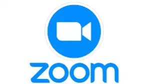 Zoom Logo Esm W300