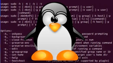 Linux Sudo Bug Lets Non-Privileged Users To Run Commands As Root