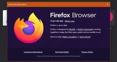 Mozilla Firefox 73 0 1 Released With Critical Linux Fixes Esm H200