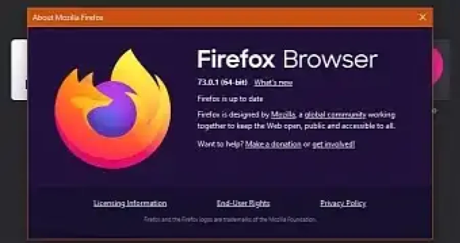 Mozilla Firefox 73 0 1 Released With Critical Linux Fixes Esm W900