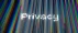 Privacy Esm H30