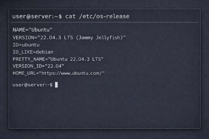Etc Os Release Output Example 700x467