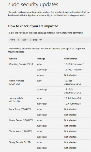 Sudo Security Updates 2026 358x600