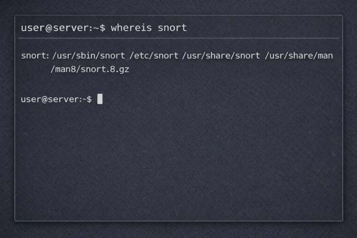 Whereis Snort Output Example  700x467