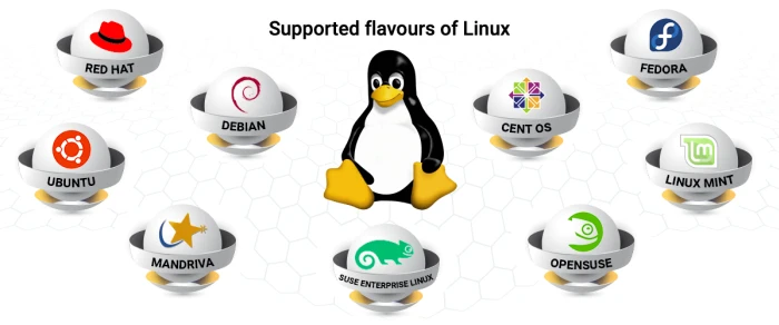 Supported Linux Flavors Esm W700
