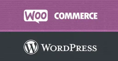 Wordpress Woocommerce Plugin Security Esm H200