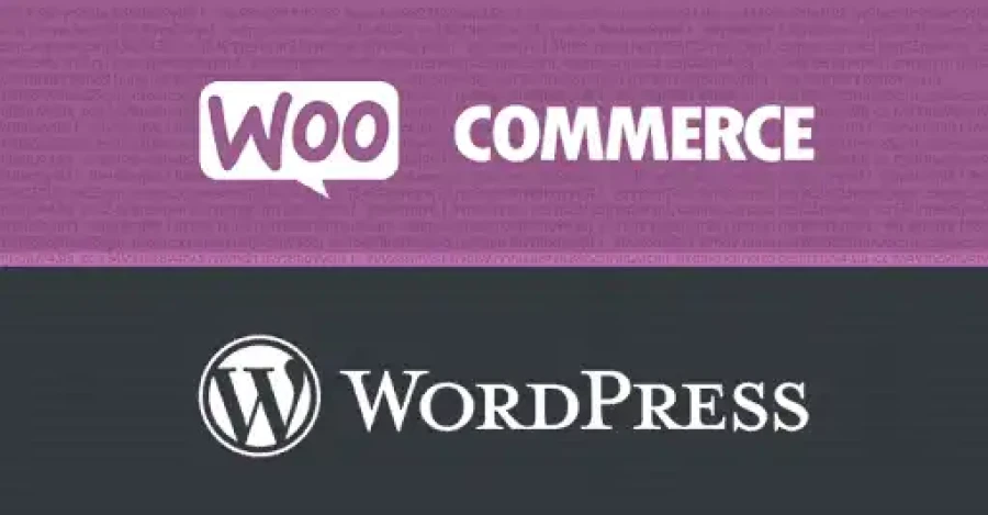 Wordpress Woocommerce Plugin Security Esm W900
